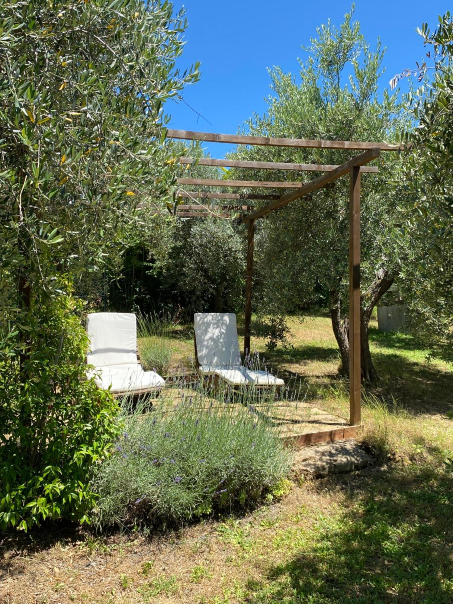 Case Nell' Aia Poggibonsi Εξωτερικό φωτογραφία